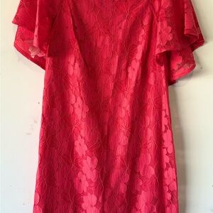 Sandra Darren Vibrant Red Lace Dress